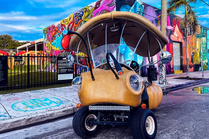 1 Hour Lady Buggy Art Tour Experience in Wynwood - Seeing Wynwood From a Lady Buggy