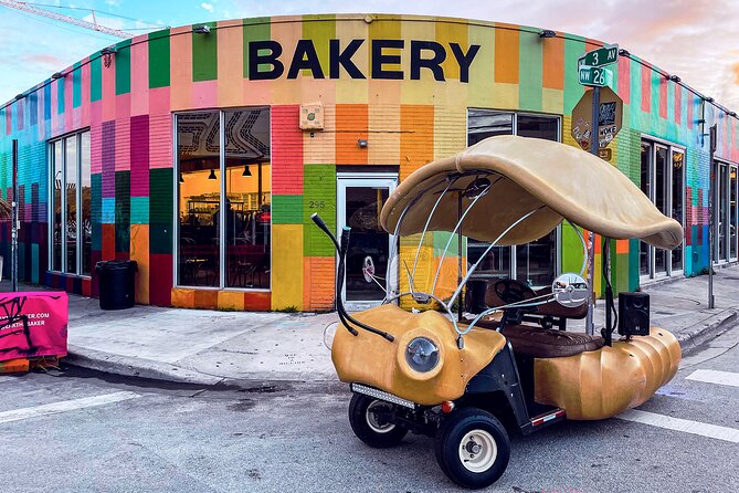 1 Hour Lady Buggy Art Tour Experience in Wynwood - Practical Details That Affect the Ride