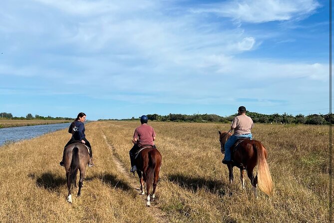 1 hour of ATV + 1 hour horse ride-- free videos and pictures - Free photos and videos make a real difference