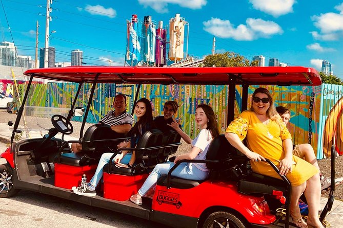 1 Hour WYNWOOD BUGGIES tour - Meeting local artists at 276 NW 26th Street