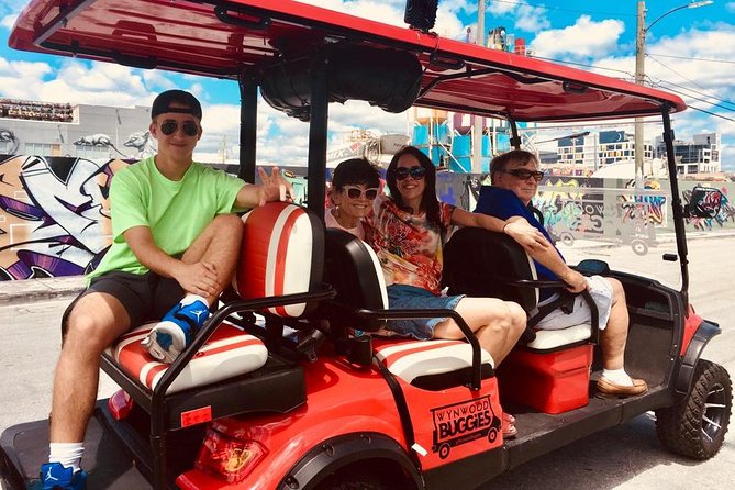 1 Hour WYNWOOD BUGGIES tour - Wynwood Walls is separate from the buggy tour