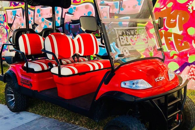 1 Hour WYNWOOD BUGGIES tour - Is $45 a fair price?