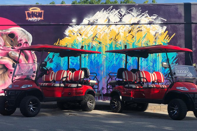 1 Hour WYNWOOD BUGGIES tour - Practical advice for a comfortable ride