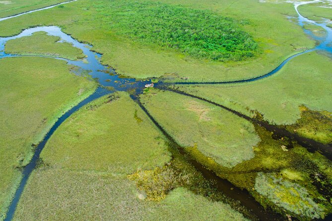 1 hr Private Airboat Everglades Tour near Miami - Two islands and a baby alligator