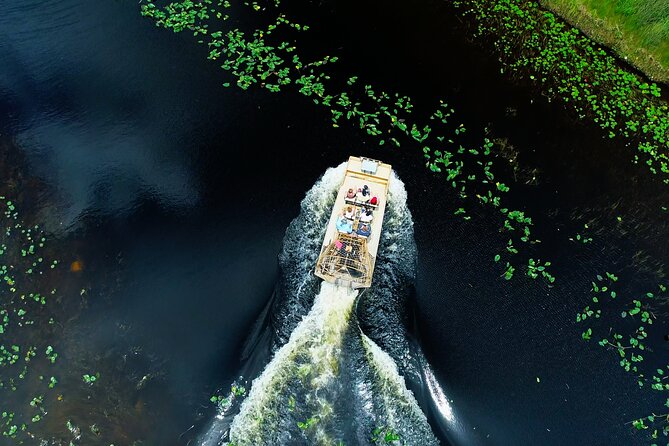 1 hr Private Airboat Everglades Tour near Miami - My call: book it if private time matters
