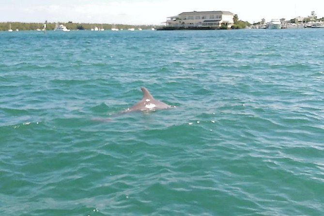 26 Ft Boat, Miami Bay Tour for 2 or 4 hours. 10 people - Safety, boarding, and family considerations