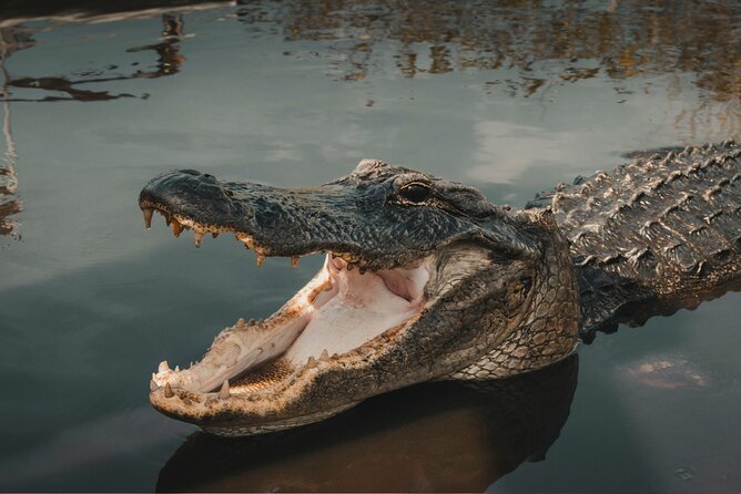 3-Day Florida: Miami Bus & Boat, Everglades & Key West Snorkeling - Biscayne Bay and Millionaire’s Row
