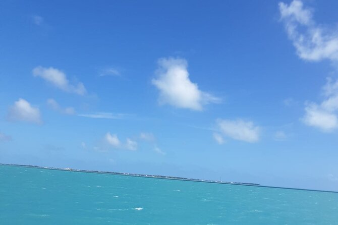 3-Day Florida: Miami Bus & Boat, Everglades & Key West Snorkeling - Day Two: Airboat Country in the Everglades