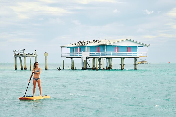 50' Private Yacht Experience in Miami for 12 people - Starting on the Miami River