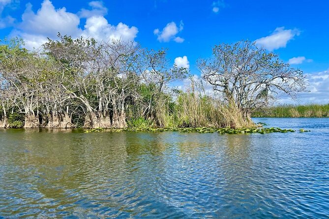 60 min. Everglades Airboat ride & pick-up ,small group +pro guide - Who should choose this tour?