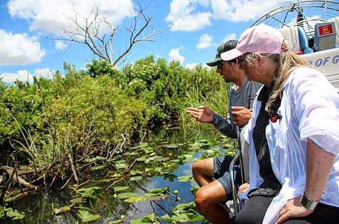 90 Minute Miami Everglades Semi Private Airboat Tour - The 90-minute pace