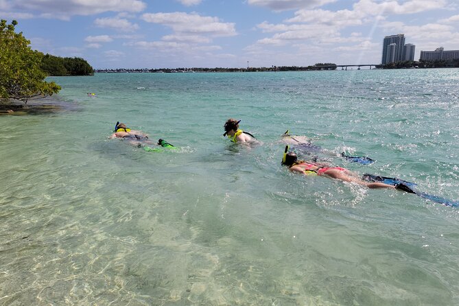Beginner Friendly Island Snorkeling - Key points to know before you book