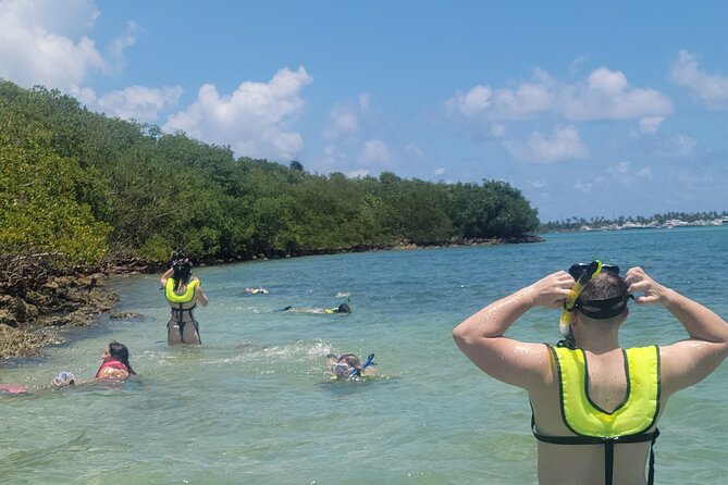 Beginner Friendly Island Snorkeling - How much snorkeling should you expect?