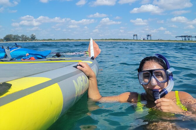 Beginner Friendly Island Snorkeling - Who will enjoy this Miami outing?