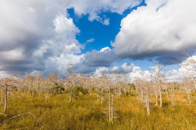 Big Cypress National Preserve Self Guided Driving Audio Tour - The Airport That Almost Changed Big Cypress