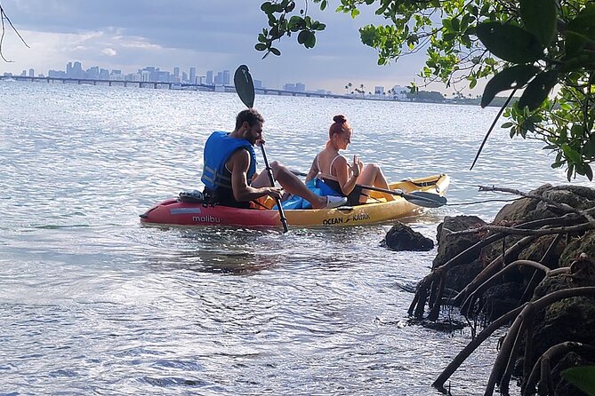 Biscayne Bay Island and Nature Exploration - Time on the Island with Raccoons Nearby