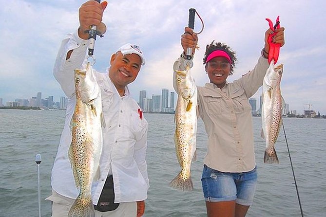 Biscayne Bay Night Fishing Charters - Judging the $800 price