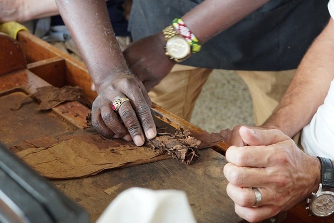 Cigar Factory Tour in Little Havana, Miami - Key points to know before you book