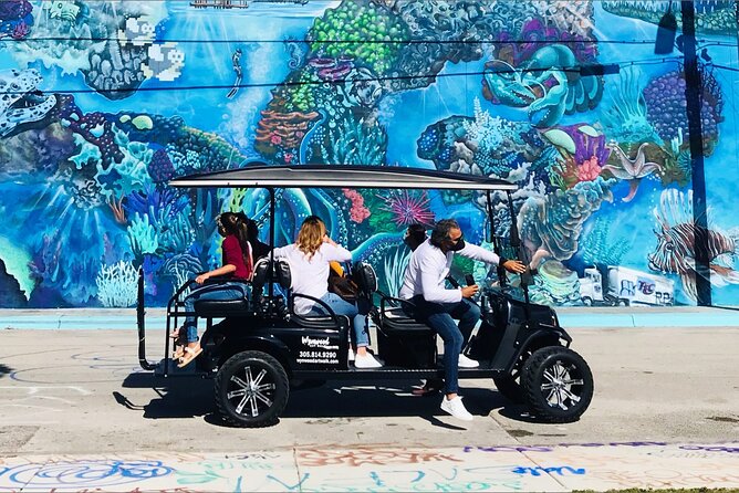 City Tour: Miami, Wynwood, and Little Habana + Cruise Tour - The van size makes a real difference