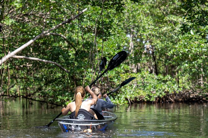 Clear Kayak Tour in North Miami Beach - Mangrove Tunnels - What makes the clear kayaks useful