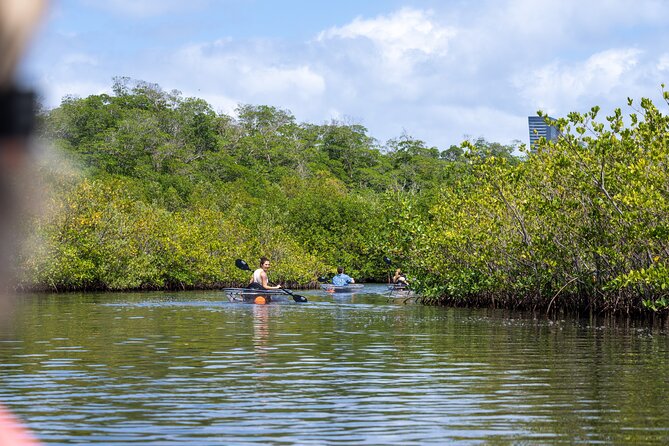 Clear Kayak Tour in North Miami Beach - Mangrove Tunnels - Families, couples, and fitness considerations