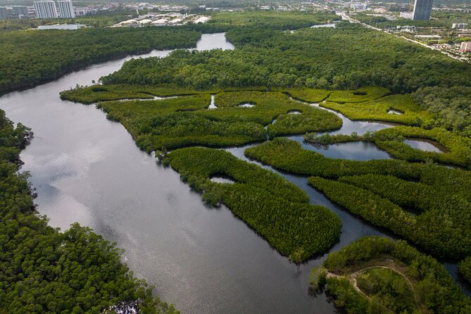 Clear Kayak Tour in North Miami Beach - Mangrove Tunnels - Equipment and comfort concerns