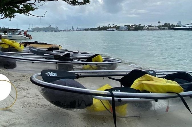 Clear Kayak Tour in South Miami Beach and Biscayne Bay - Biscayne Bay’s mangroves and wildlife