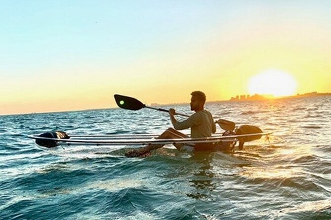 Clear Kayak Tour in South Miami Beach and Biscayne Bay - What the $73 price includes