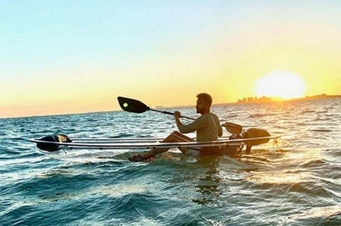 Clear Kayak Tour in South Miami Beach and Biscayne Bay - Who will enjoy this two-hour outing