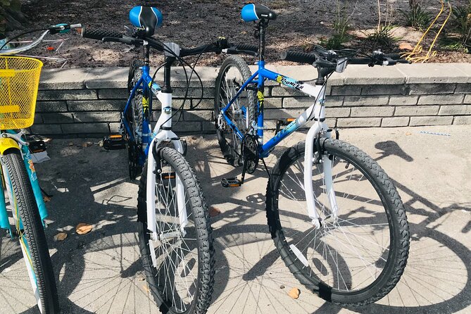 Cruiser Bike Rental at Crandon Park - Price, mobile tickets, and practical timing