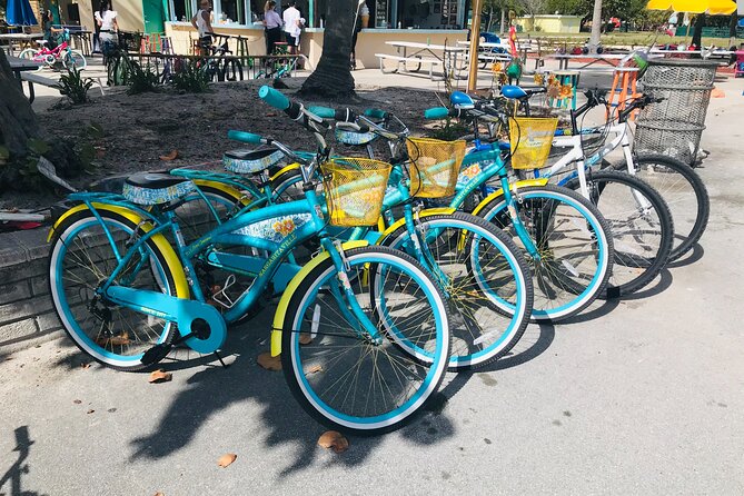 Cruiser Bike Rental at Crandon Park - The Botanical Garden and its ponds