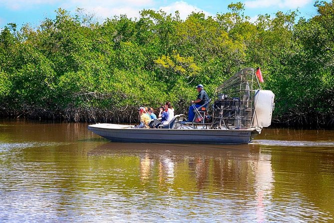 Depart from Miami to discover the Everglades with Airboat tour included! - What the four-hour schedule really gives you