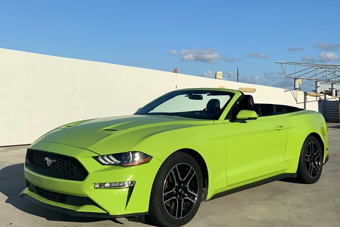 Drive a Mustang Convertible - Why a Mustang makes sense in South Florida