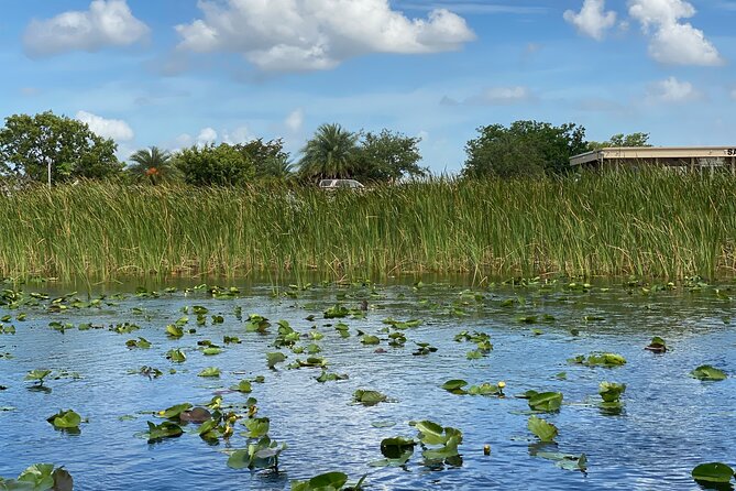 Everglades Airboat Tour with Roundtrip Transportation from Miami - Who will enjoy this half-day outing?