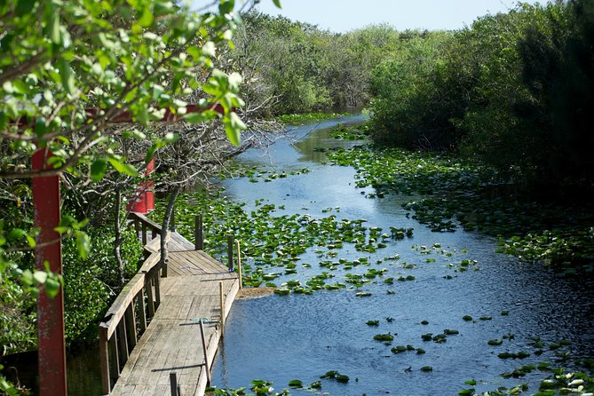 Everglades Airboat, Wildlife Show, and Roundtrip Bus From Miami - How much free time will you really have?