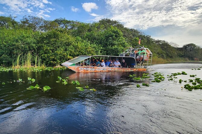Everglades Alligator Airboat Tour with Bus transfer from Miami - The alligator presentation and exhibit