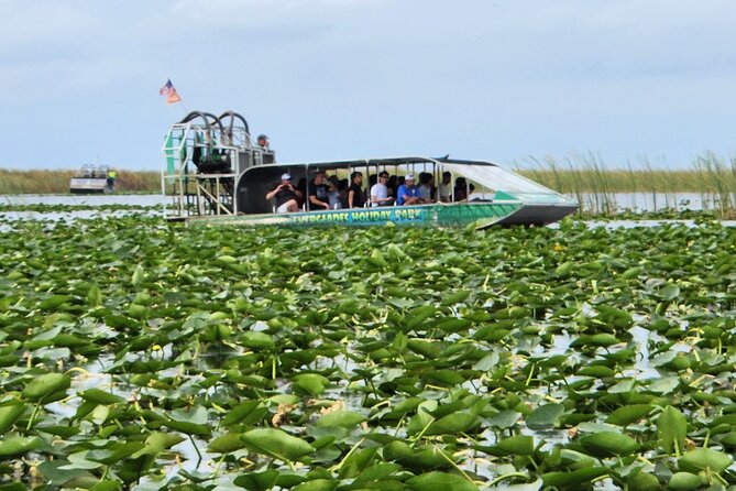 Everglades Alligator Airboat Tour with Bus transfer from Miami - The one-hour airboat ride at Holiday Park