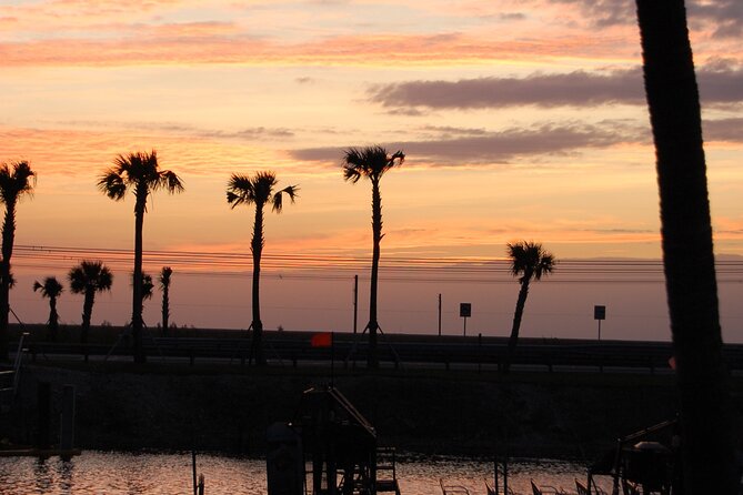 Everglades at Night with Airboat and Alligators Tour From Miami - What the $49 price includes