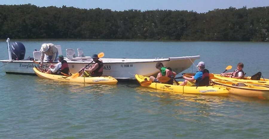 Everglades: Boat Assisted Kayak Eco Tour - A three-hour Everglades outing with real variety