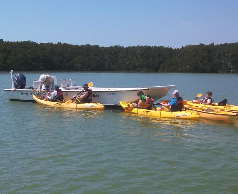 Everglades: Boat Assisted Kayak Eco Tour - Why the six-person limit makes a difference
