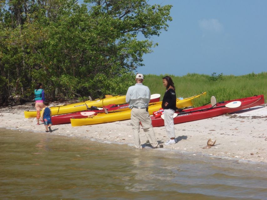 Everglades: Boat Assisted Kayak Eco Tour - Kayaking in remote coastal water