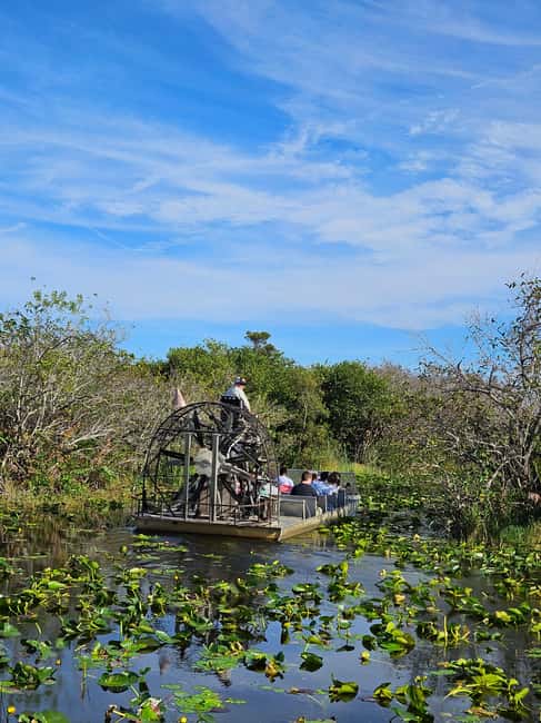 Everglades: boat tour with transportation& entrance included - Key points at a glance