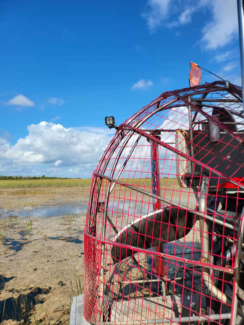 Everglades: boat tour with transportation& entrance included - Free time, shopping, and a quick meal