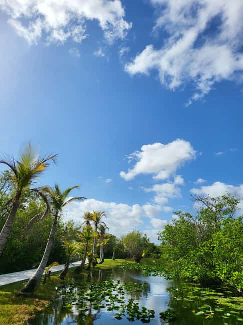 Everglades: boat tour with transportation& entrance included - Why the small vehicle matters