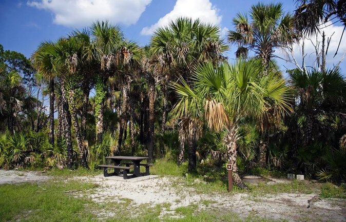 Everglades Day Safari from Miami - Key points before you book