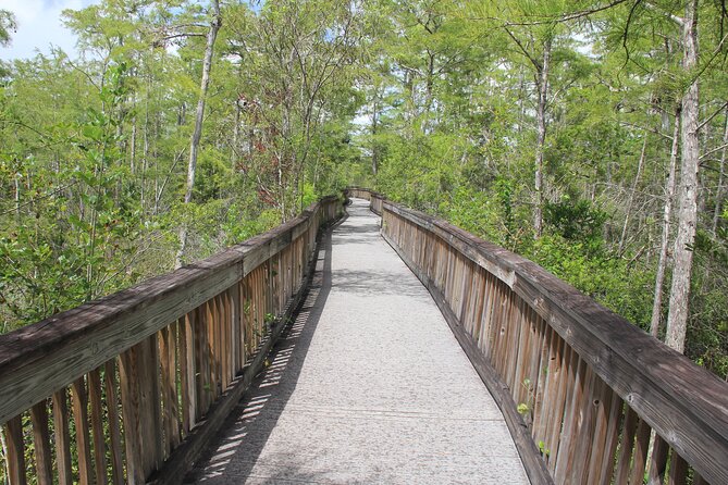 Everglades Day Safari from Miami - The mangrove cruise through the Ten Thousand Islands