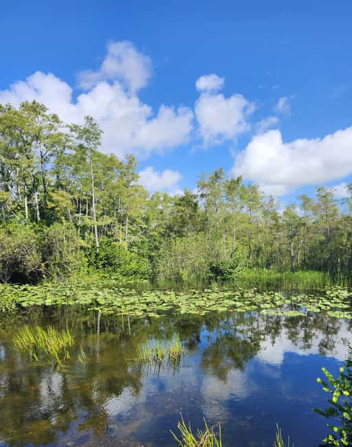Everglades Eco Airboat Small-Group Tour & 2 Private Islands - Key points to know before booking