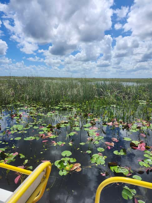 Everglades Eco Airboat Small-Group Tour & 2 Private Islands - Two private islands with a Miccosukee connection