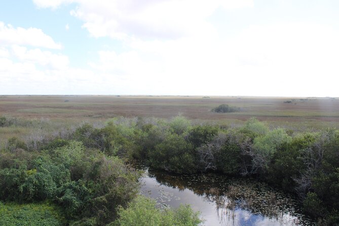 Everglades Eco Airboat Tour-Small Group & 2 Private Islands - The former Miccosukee village site