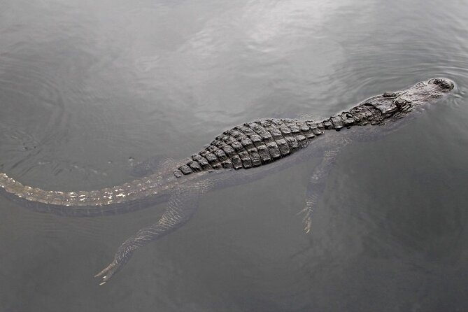 Everglades Express From Miami with Safari Airboat Ride - Is $140.43 a fair price?